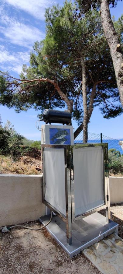 Villa Paula Μούρτερ Εξωτερικό φωτογραφία