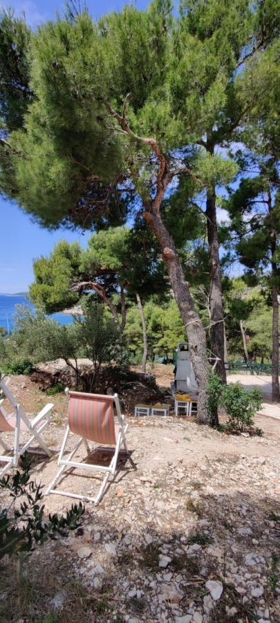 Villa Paula Μούρτερ Εξωτερικό φωτογραφία